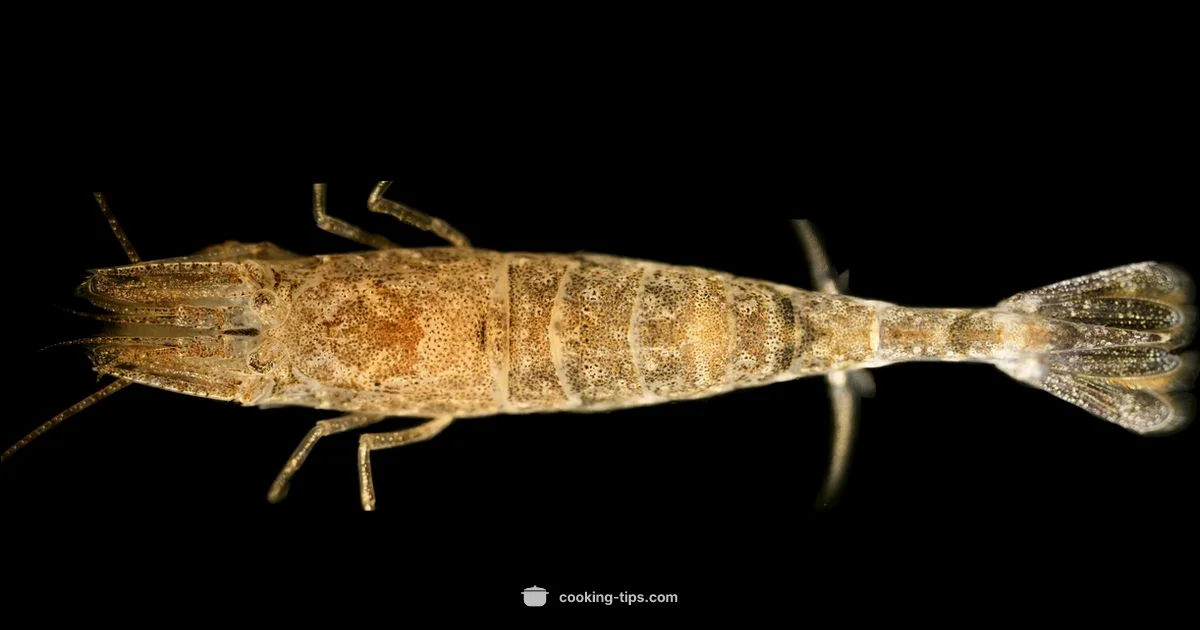 Fridge-Safe Shrimp - Cooking Tips