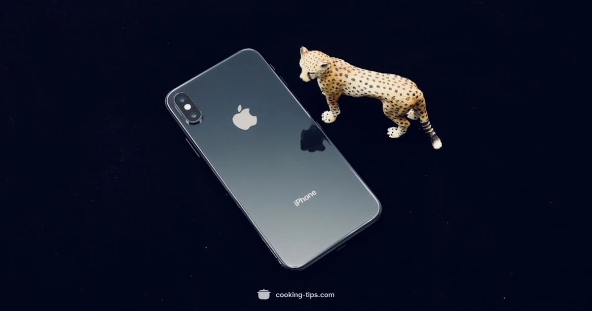 Stop iPhone Cookies - Cooking Tips