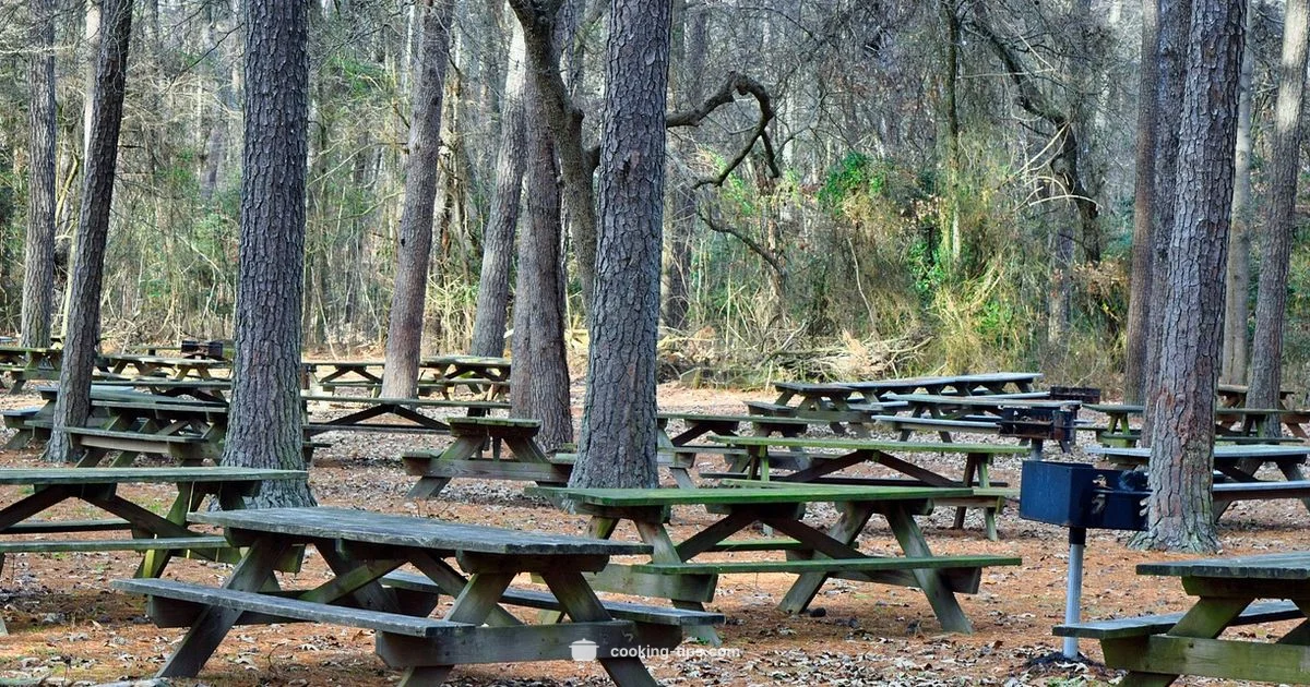 Public Park Guide - Cooking Tips