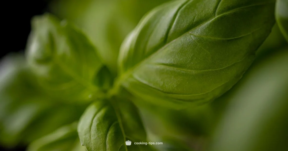 Kitchen In Action - Cooking Tips