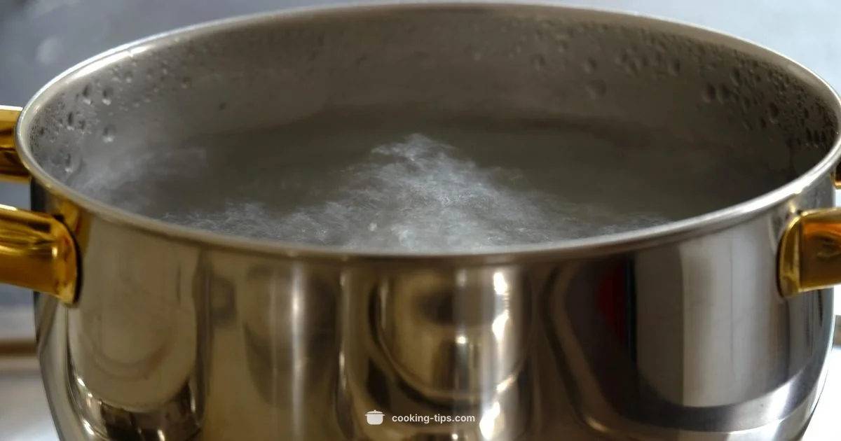 Vigorous Boil Guide Vigorous Boil Guide - Cooking Tips