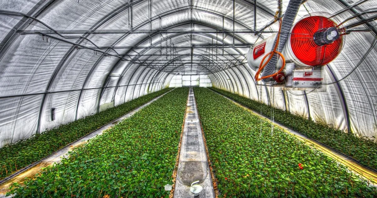 Greenhouse Cooking Guide Greenhouse Cooking Guide - Cooking Tips