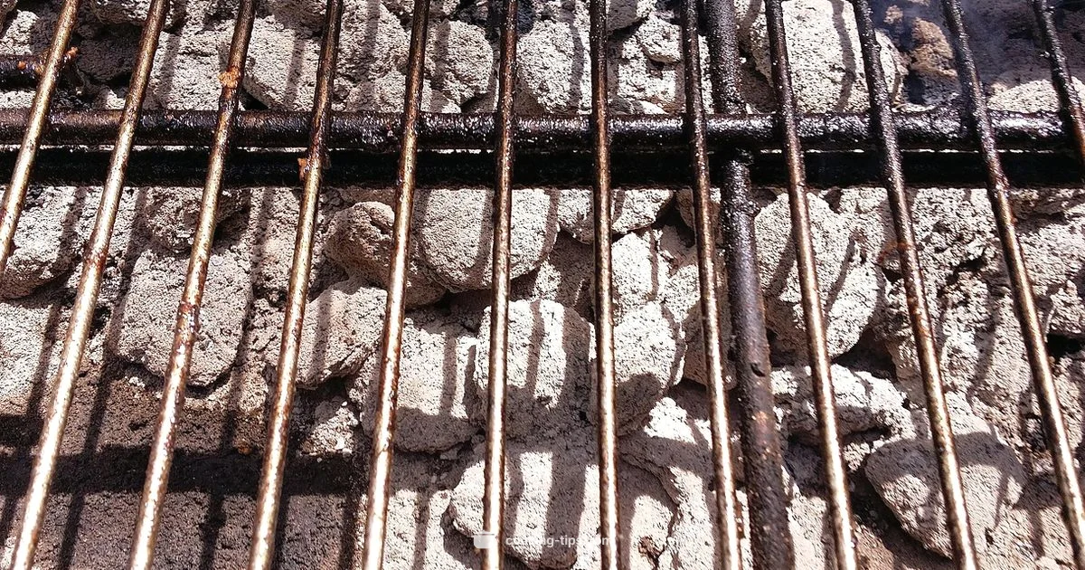 Charcoal Grilling Basics - Cooking Tips